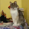 Отзыв от Инесса Чернышева